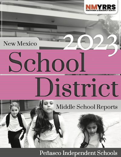 NMYRRS School District Report Cover - Middle School